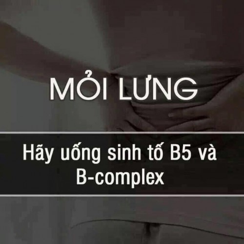 Mi-lung---ung-sinh-t-B5.jpg