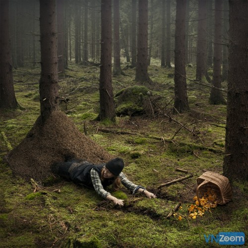 angry-ants-Erik-Johansson.jpg