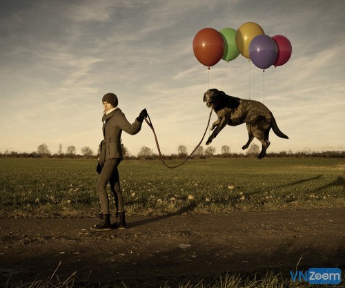 lazy-dogs-Erik-Johansson.jpg