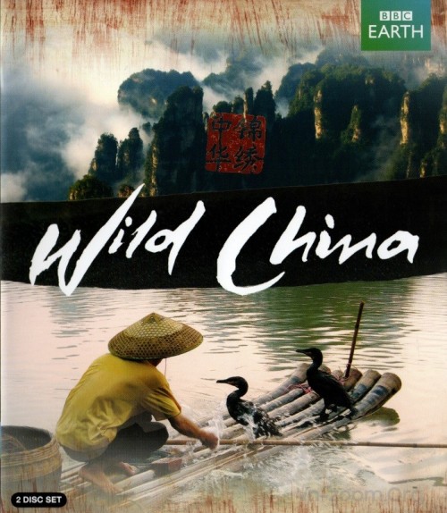 Wild china dv s
