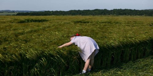 cropcirclesunitedkingdom14.jpg
