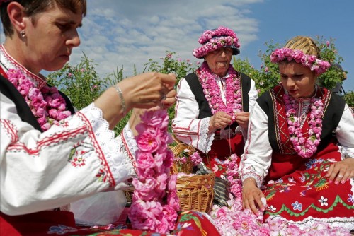 rosefestivalrosevalleybulgaria01ngsversion1544524206498adapt19001.jpg