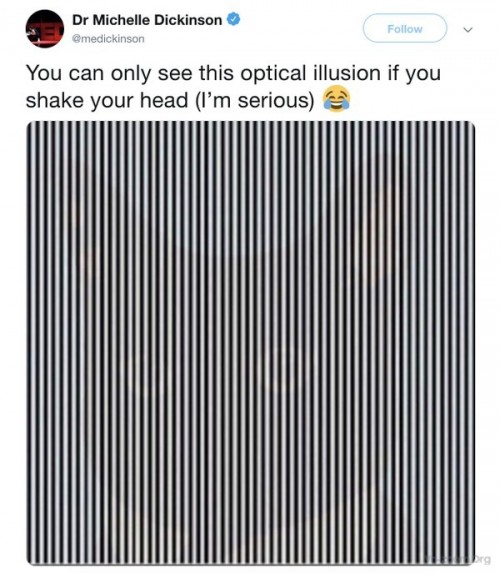 screen-shot-2019-01-12-at-1-31-15-pm.jpg