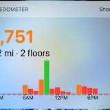 1pedometer-widget