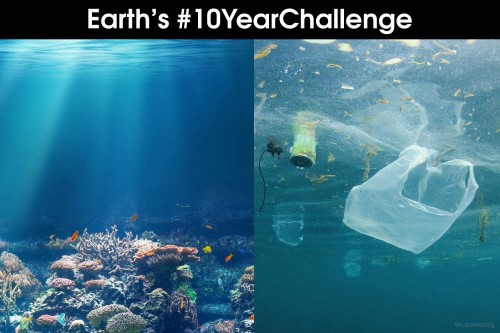 content-1547820928-ocean-plastic-10yearschallenge-01-15479596839161800157239.jpg