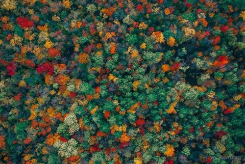 anhflycam-4-1548073079507.jpg