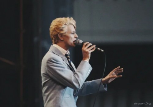 1904737.jpg