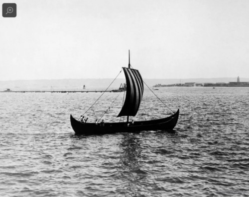 1905458.jpg
