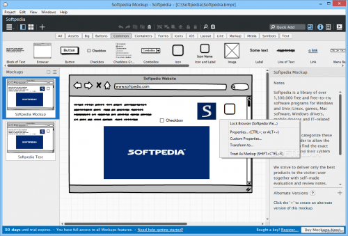 Balsamiq-Mockups_1.png