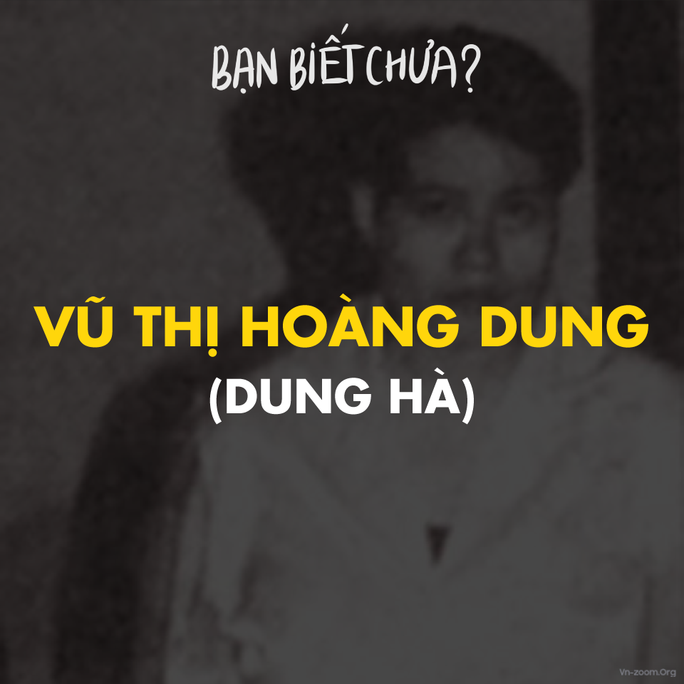 Vu-Thi-Hoang-Dung-Dung-Ha.png