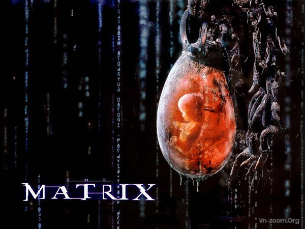 matrix-podgrown-155106735932064906905.jpg