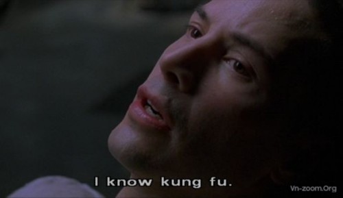 neo_kung_fu.jpg