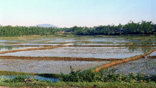 Redsvn-Da-Nang-1970-Steve-Ferendo-10.jpg