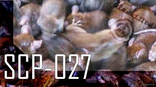 maxresdefault-7.jpg