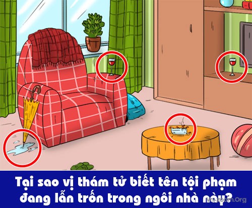 01-2757-1549889647.jpg