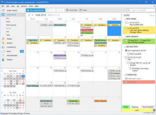 EssentialPIM-pro-calendar2.png