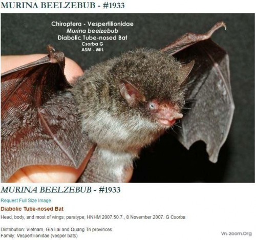 doi-beelzebub.jpg