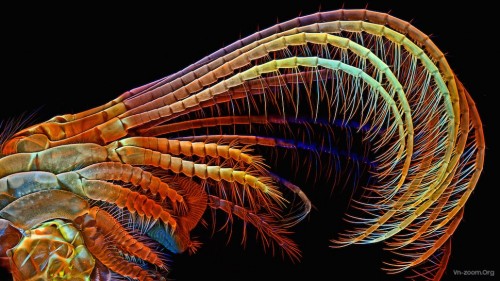 121614_bioscapes_feat.jpg