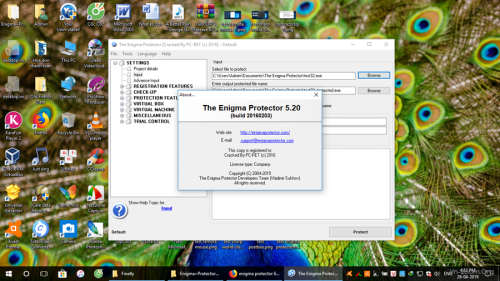 test-enigma-protectorrrrr-1.png