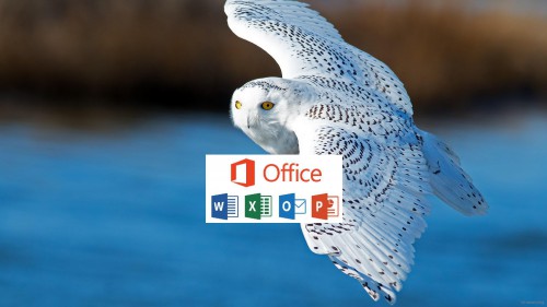 OfficeAct-0_compressed.jpg