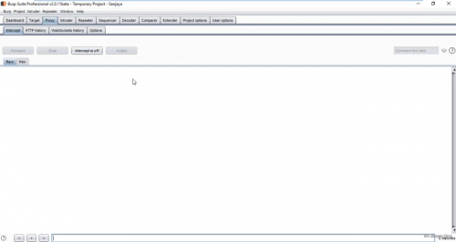 test-Burp-Suite-Pro.png