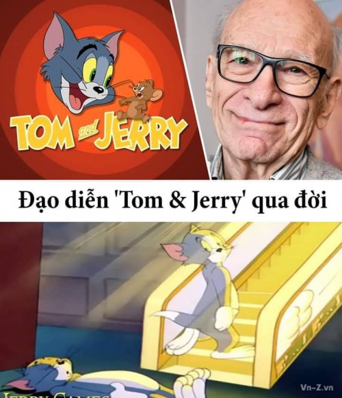 top.jpg