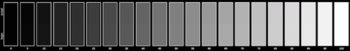 comp_greyscale_575px.png
