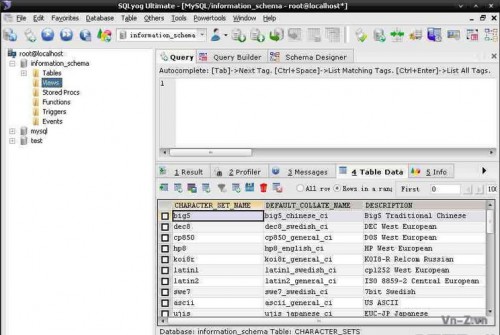 test-SQLyog.jpg
