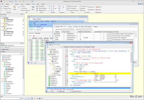 test-pl-sql-developers.png