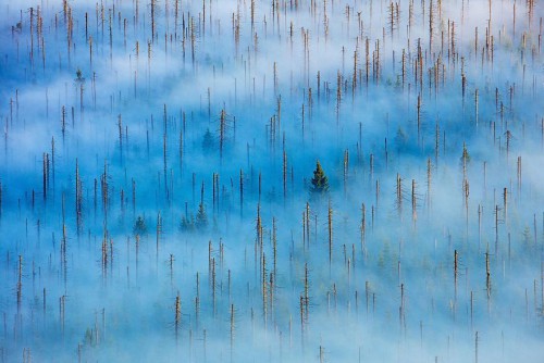 gdt-nature-photographer-of-the-year-2020-5eb10fac5b115__880.jpg