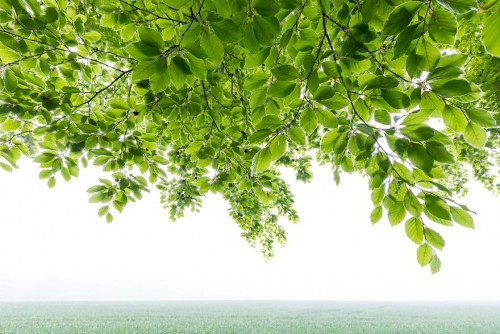 gdt-nature-photographer-of-the-year-2020-5eb10fb1120ba__880.jpg