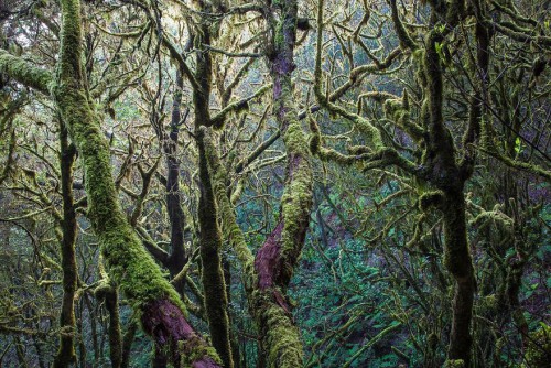 gdt-nature-photographer-of-the-year-2020-5eb10fba4b0c6__880.jpg