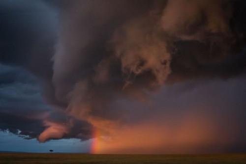 gdt-nature-photographer-of-the-year-2020-5eb112390146e__880.jpg