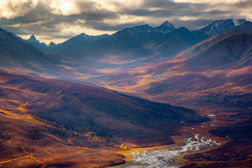 gdt-nature-photographer-of-the-year-2020-5eb112404ca1a__880.jpg