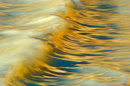 gdt-nature-photographer-of-the-year-2020-5eb1167016ecc__880.jpg