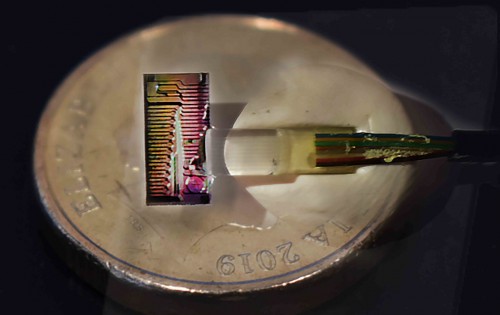 HNMO_442_AUS.jpg