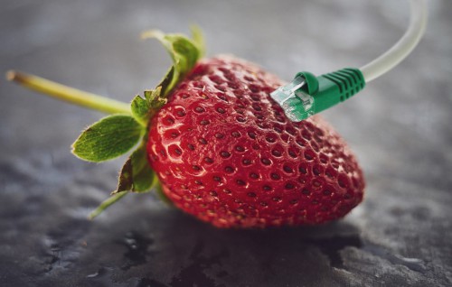 How-Heavy-Is-Data-And-How-Much-Does-The-Internet-Weigh-strawberry-2-1068x680.jpg