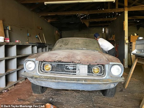 Mustang-c-din.jpg