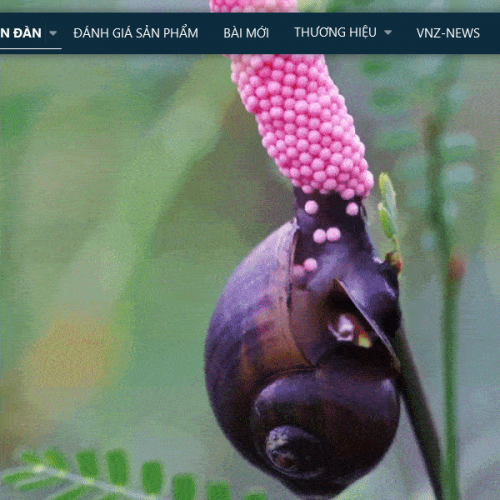 Screenshot_2020-11-16-Ban-da-bao-gi-xem-c-bieu-vang-d-trng.png