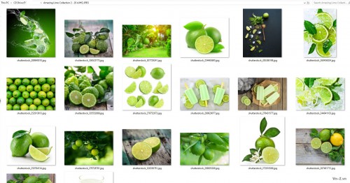 Amazing-Lime-Collection-2.jpg