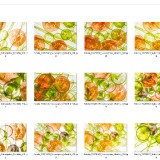 018-Background_from_sliced_vegetable