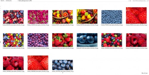 026-Berries_Backgrounds.jpg