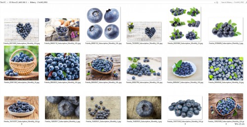 027-Bilberry.jpg