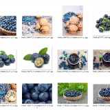 028-Bilberry-2