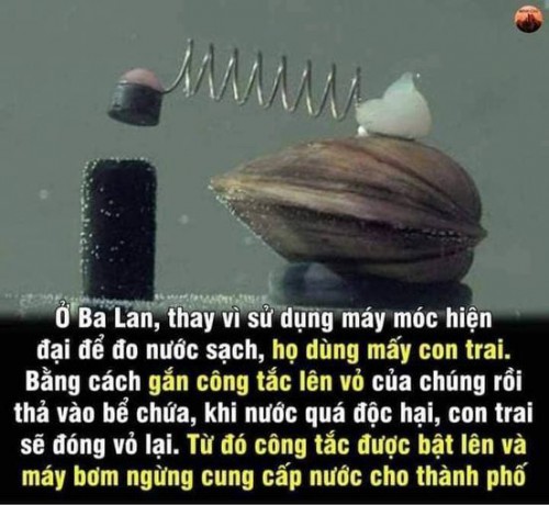 130837851_2861287360859774_9141407148223660416_n.jpg_nc_cat105ccb2_nc_sid825194_nc_ohcITmAJeeL34EAX80iFLU_nc_htscontent.fhan2-4.jpg