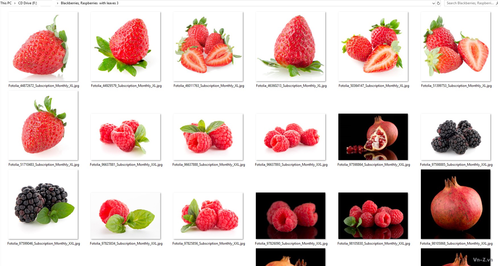 031-Blackberries-Raspberries-with-leaves-3.jpg