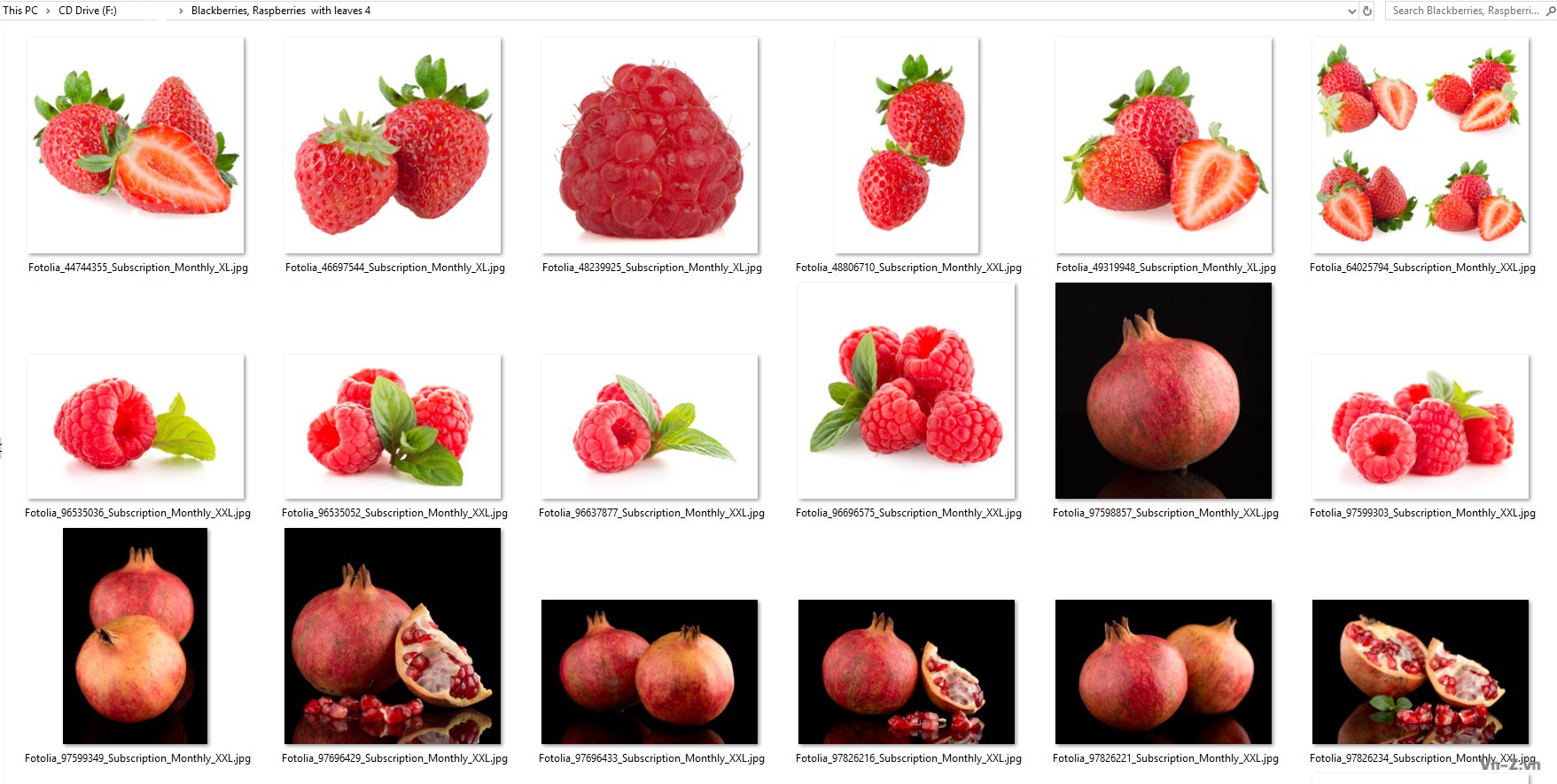 032-Blackberries-Raspberries-with-leaves-4.jpg