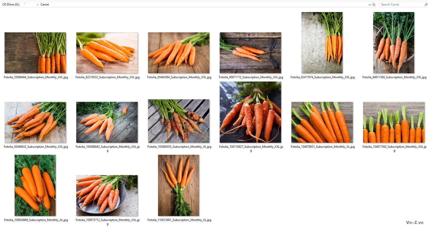 045-Carrot.jpg
