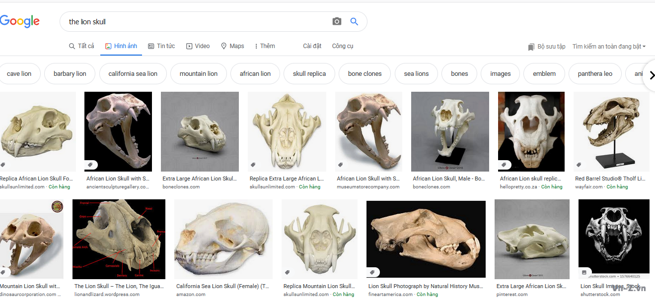 lion-skull.png