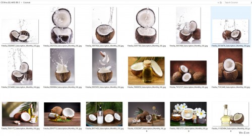 058-Coconut.jpg